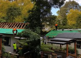 Tile Roof Restoration