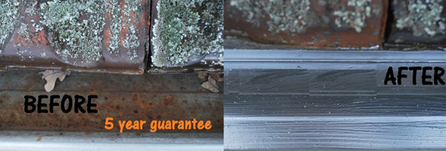 Gutter Guards